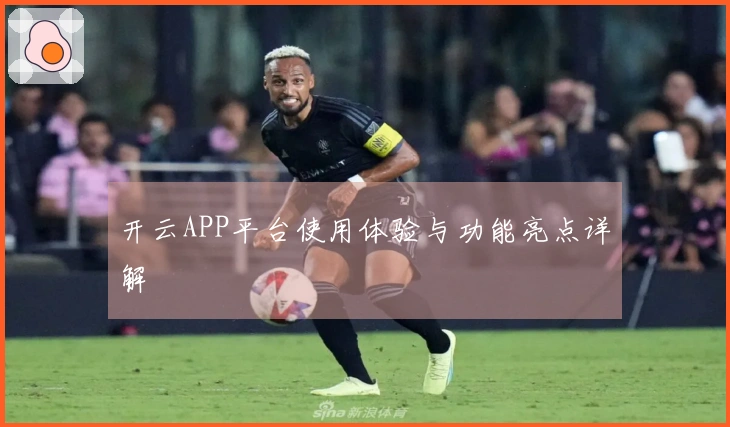 开云APP平台使用体验与功能亮点详解