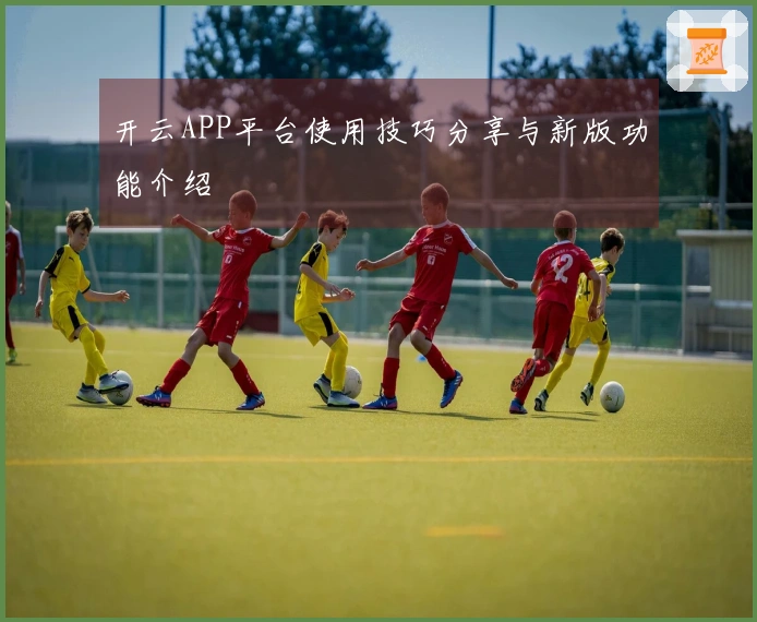 开云APP平台使用技巧分享与新版功能介绍