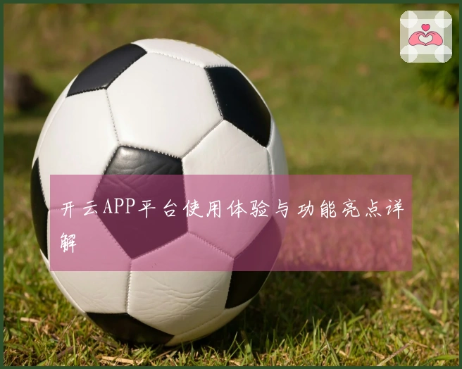 开云APP平台使用体验与功能亮点详解