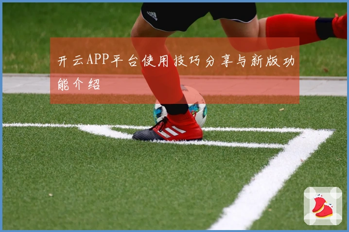 开云APP平台使用技巧分享与新版功能介绍